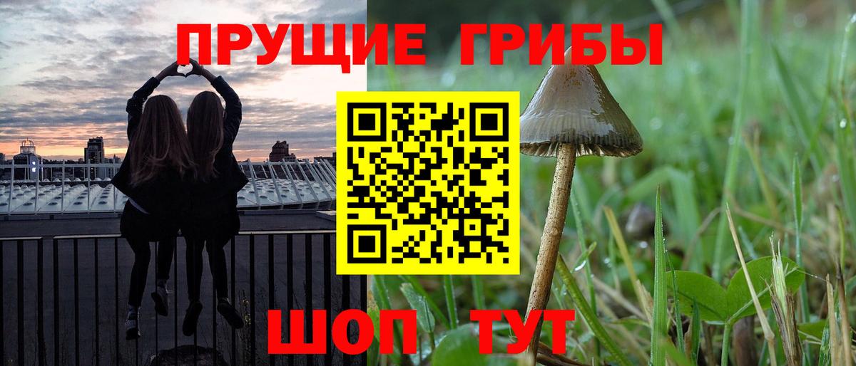 Псилоцибиновые грибы Psilocybe  Галлюциногенные грибы Psilocybe  где найти наркотики  Вход с VPN  Омск 